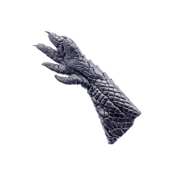 Fekete bőr kéz krokodil elszigetelt fehér — Stock Fotó