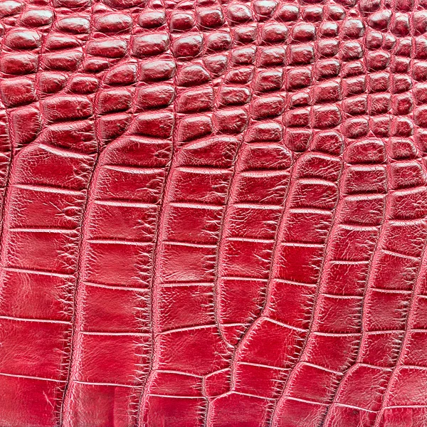 Crocodile rouge fond texture cuir — Photo