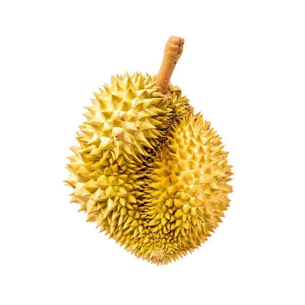 Durian frutas no fundo branco — Fotografia de Stock