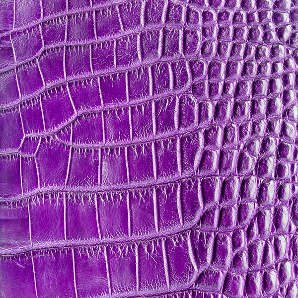 Violet crocodile cuir texture fond — Photo