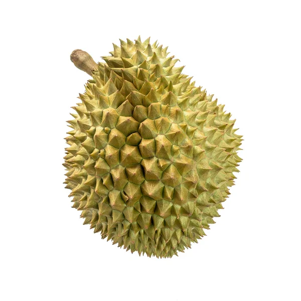 Durian frukt på vit bakgrund — Stockfoto