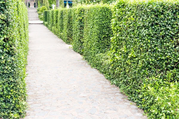 Beautiful walkway in the garden — Stock Photo, Image