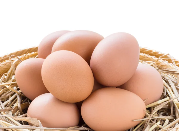 Brown chicken eggs in basket — Stock Photo, Image