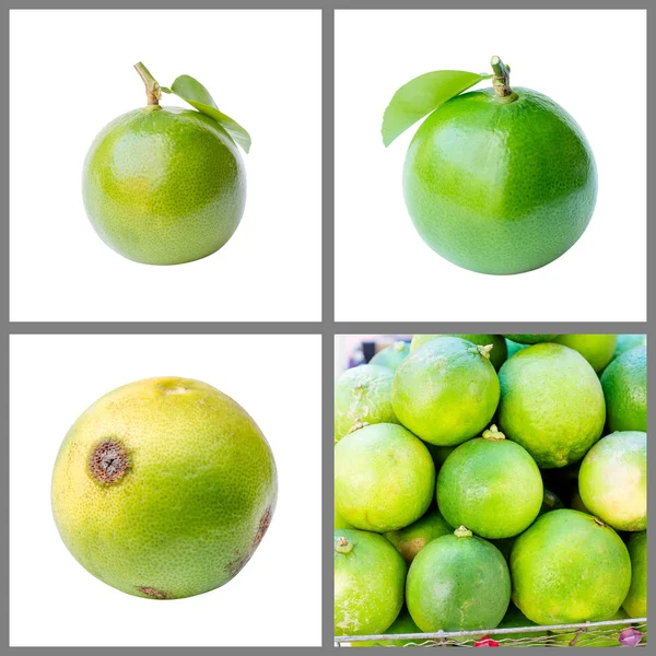 Collection of fresh lime — Stock Photo, Image