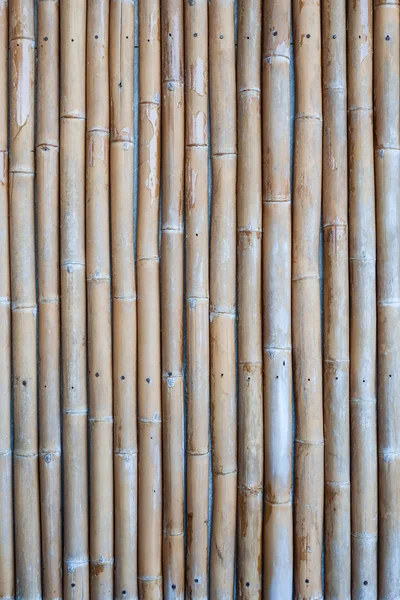 Textura de bambu natural parede de cimento escondido — Fotografia de Stock