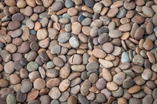 Multi colorato di roccia naturale ciottolo — Foto Stock