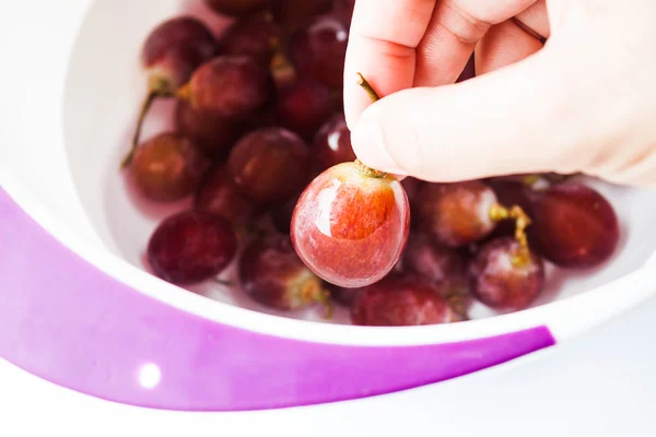 Ręka na świeżych winogron przed spożywać — Zdjęcie stockowe