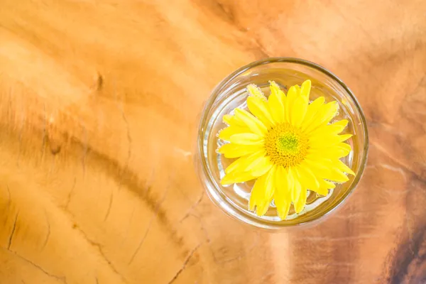 Koppla av bakgrunden av gul blomma — Stockfoto