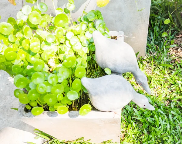 Patos gêmeos de gesso decorados no jardim — Fotografia de Stock