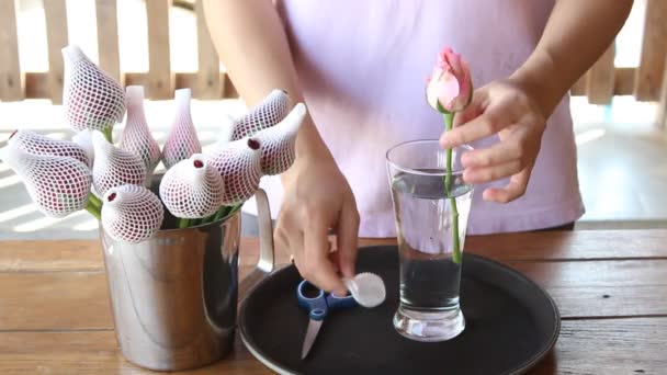 Mulher embeber a torneira recém-colhida rosa flores para vaso — Vídeo de Stock