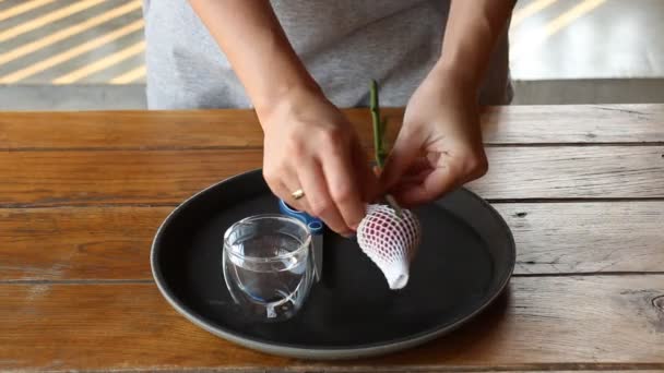 Vrouw pakte enkele rode roos met glas — Stockvideo