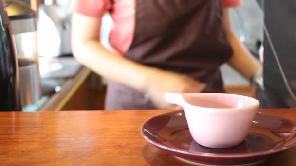 Barista servir du thé chaud avec pot en céramique — Video