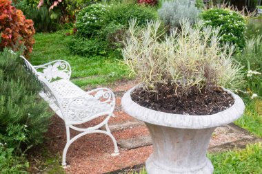 Botanik bahçesinde yeşil yapraklar, stok fotoğrafı.