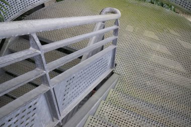 Botanik bahçesinde yeşil yapraklar, stok fotoğrafı.