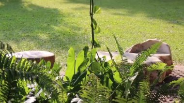 Bahar mevsimi bahçe arka planı, stok görüntüleri