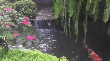 Tropikal bahçede buhar olarak püskürtülen su damlacıkları, stok görüntüleri.