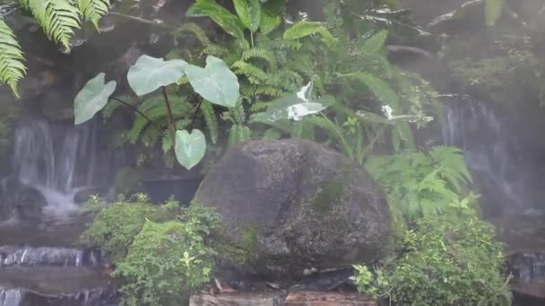 Tropikal Bahçede Buhar Olarak Püskürtülen Damlacıkları Stok Görüntüleri — Stok video