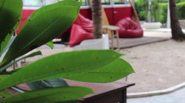 Bahar mevsimi bahçe arka planı, stok görüntüleri