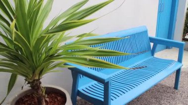 Bahar mevsimi bahçe arka planı, stok görüntüleri