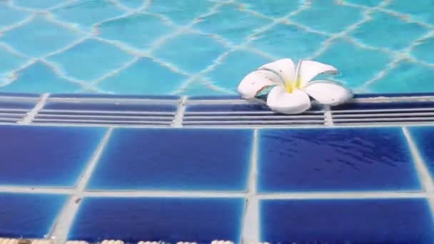 Swimming Pool Fitness Close Stock Footage — 비디오