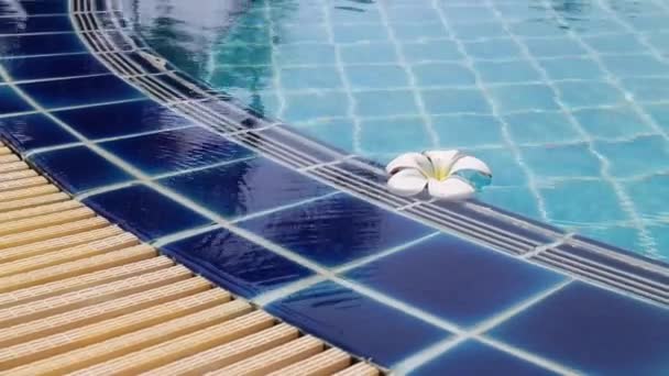 Swimming Pool Fitness Close Stock Footage — Stock Video