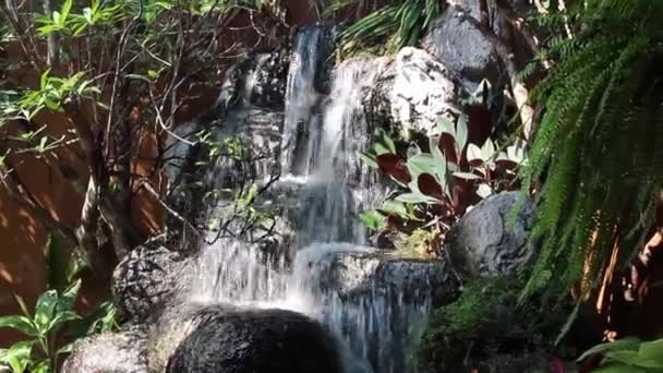 Bahçesinde Süslemeli Balık Havuzu Şelale Stok Görüntüleri — Stok video