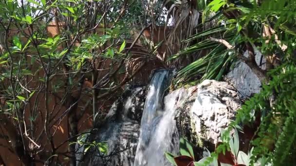 Bahçesinde Süslemeli Balık Havuzu Şelale Stok Görüntüleri — Stok video