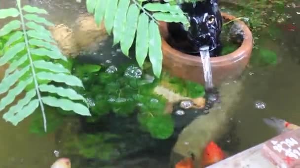 Рибний Ставок Водоспад Прикрашені Домашньому Саду Стокові Кадри — стокове відео