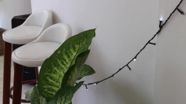 Ortak çalışma alanı minimal biçim dekorasyonu, stok görüntüleri