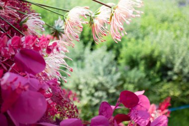 Açık havada bir kafede oturma, stok fotoğrafı.