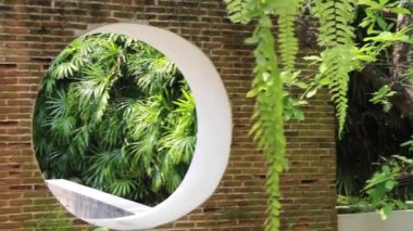 Yeşil bitkiler doğal çevreyi rahatlatıyor, stok görüntüleri