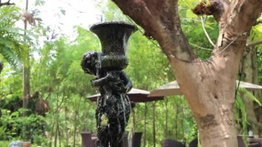 Yeşil bitkiler doğal çevreyi rahatlatıyor, stok görüntüleri