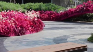 Yeşil bitkiler doğal çevreyi rahatlatıyor, stok görüntüleri