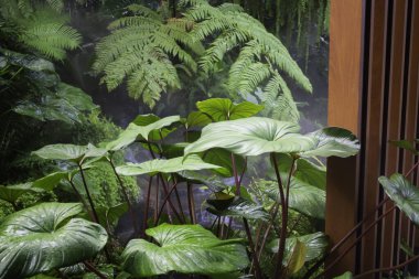 Etrafını çevreleyen yeşil bitkiler, stok fotoğrafı