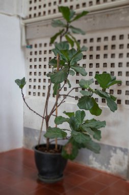 Dekorasyon endüstriyel tarzı tavan arası kafe, stok fotoğrafı