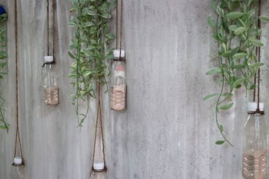 Etrafını çevreleyen yeşil bitkiler, stok fotoğrafı