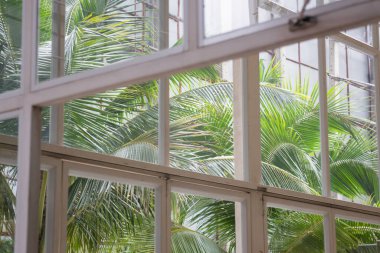 Plaj bahçesinde yaz günü, stok fotoğrafı.