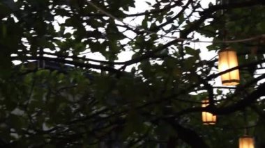 Tayland 'ın yerel kuzeyi çevreyi rahatlatıyor, stok görüntüleri
