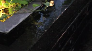 Local northern of Thailand relax surroundings, stock footage