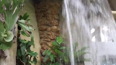 Yeşil bitkiler doğal çevreyi rahatlatıyor, stok görüntüleri