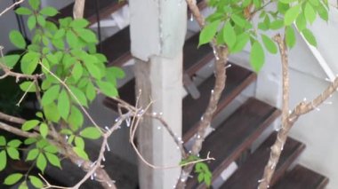 Minimum tavan arası tarzı kahve dükkanı dekorasyonu, stok görüntüleri