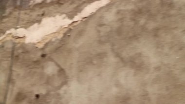 Minimum tavan arası tarzı kahve dükkanı dekorasyonu, stok görüntüleri