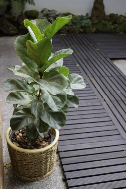 Kahve dükkanı dekorasyonu, stok fotoğrafı.