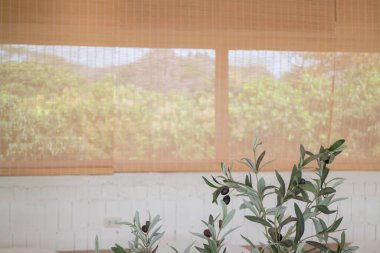 Minimal white style decoration of tea shop, stock photo