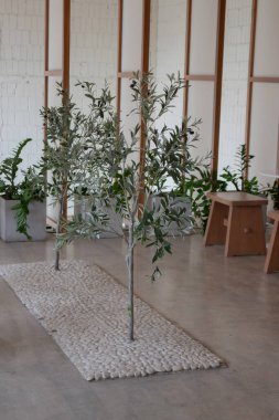 Minimal white style decoration of tea shop, stock photo