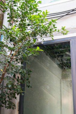 Hint kahvecisinin en az grunge stili dekorasyonu, stok fotoğrafı.