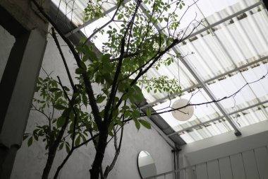 Hint kahvecisinin en az grunge stili dekorasyonu, stok fotoğrafı.