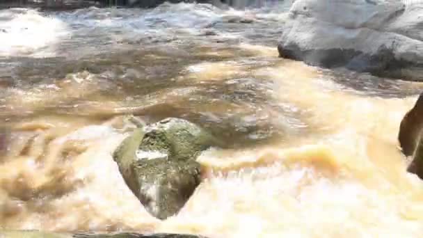 Flodöversvämning Rinner Nerför Bergssluttningarna Fjällskogen Efter Kraftiga Regn Thailand Beståndsklipp — Stockvideo