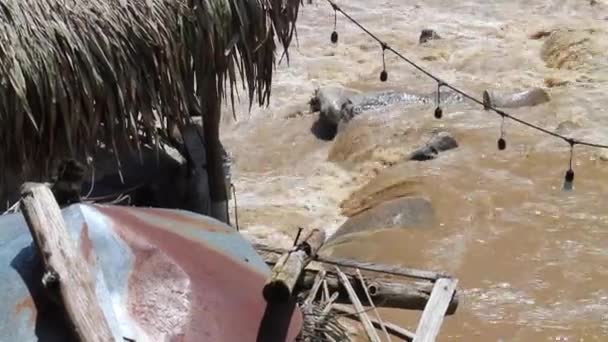 川の洪水は タイの豪雨 株式映像の後 山の森の山の斜面を流れている — ストック動画