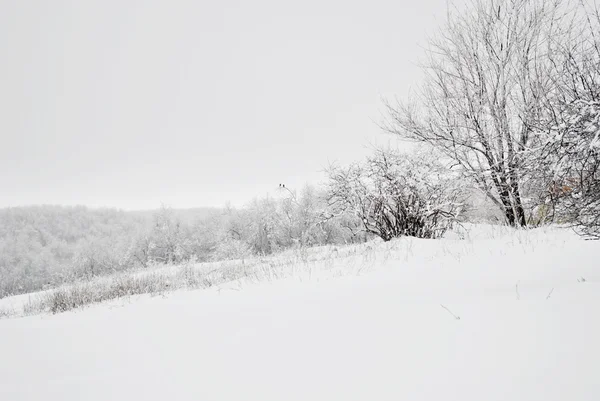 kış Kar manzarası